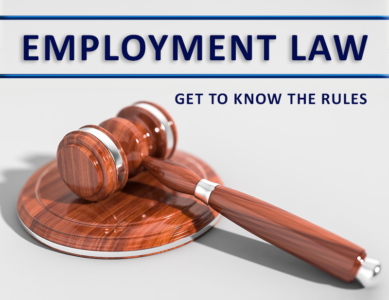 How To Protect Your Business Against Employment Lawsuits Wealth